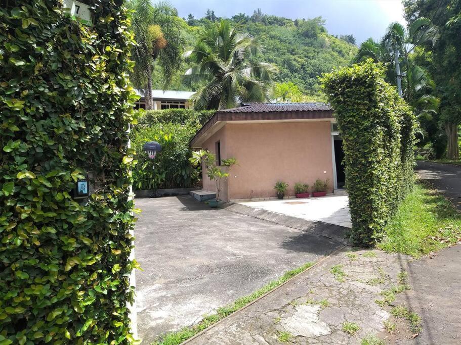Punaauia  Vacation House In Tahiti מראה חיצוני תמונה